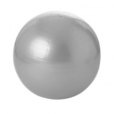 GYM BALL / EXERCISE BALL
