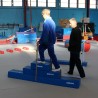 REHAB BALANCE BEAM3 STEPS