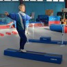 REHAB BALANCE BEAM3 STEPS