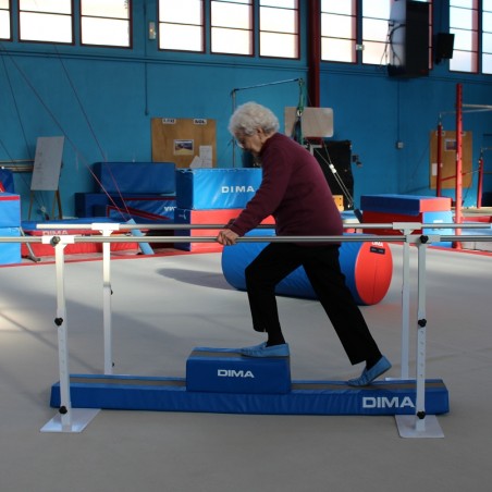 REHAB BALANCE BEAM3 STEPS