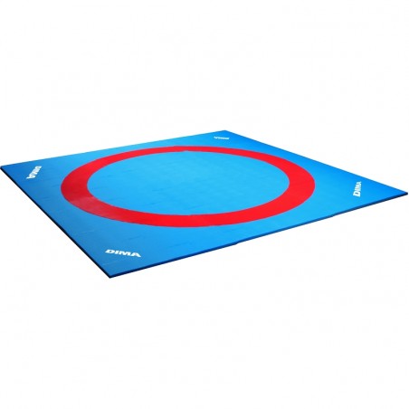 COLLEGE WRESTLING MAT